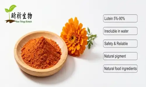 How Lutein cws 5% powder Works in Functional Foods
